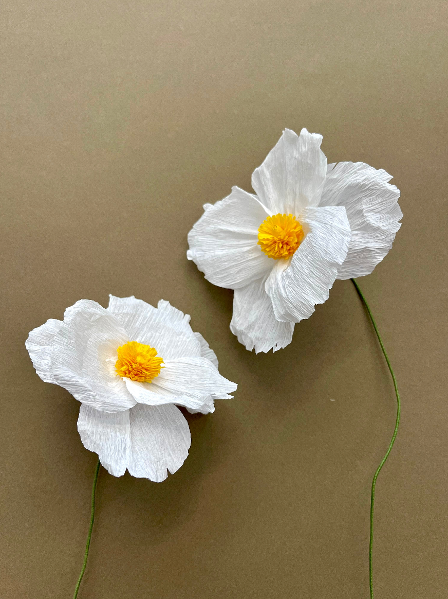 APR 28th IN-PERSON - Paper Poppies Class in Vase with Mirina Moloney