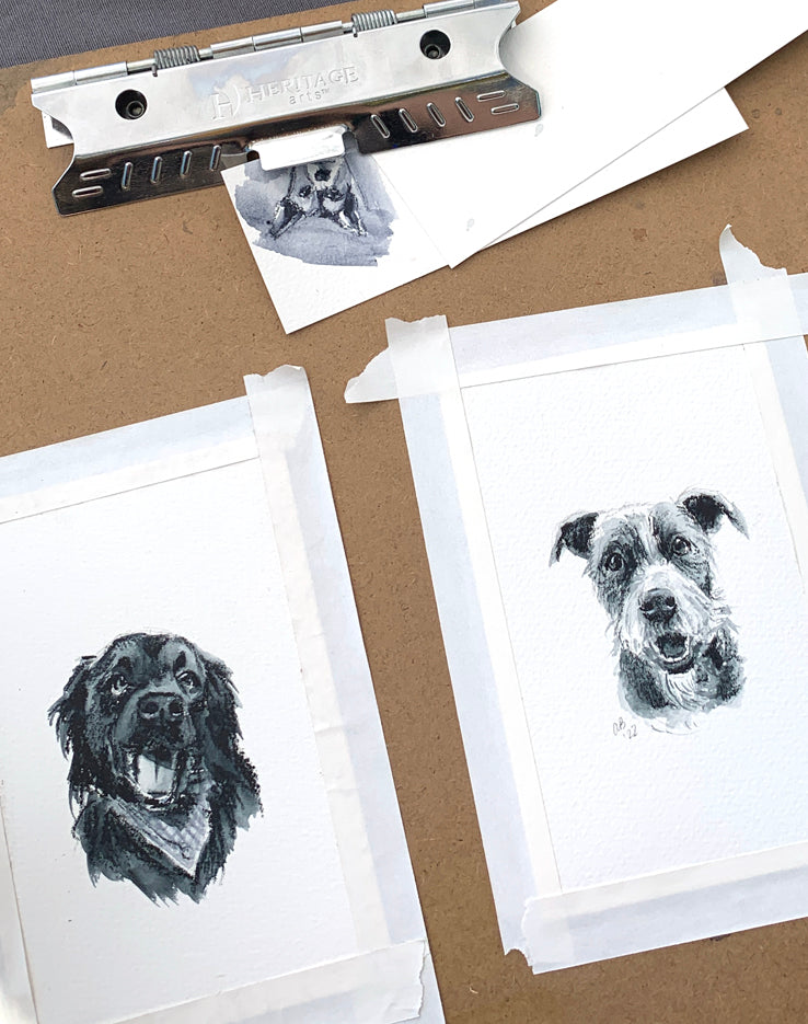 MAY 9th IN-PERSON - Monotone Watercolor Pencil Pet Portraits with Annie Brown