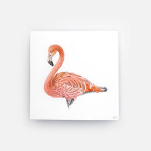Load image into Gallery viewer, Flamingo By Annie Brown