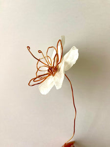 APR 23rd IN-PERSON - Sculptural Wire & Paper Flowers with Mirina Moloney