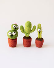 Load image into Gallery viewer, MAR 15th IN-PERSON - Intro to Needle Felting: Cactus Creatures with Hollie Garcia