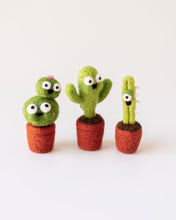 Load image into Gallery viewer, MAR 15th IN-PERSON - Intro to Needle Felting: Cactus Creatures with Hollie Garcia