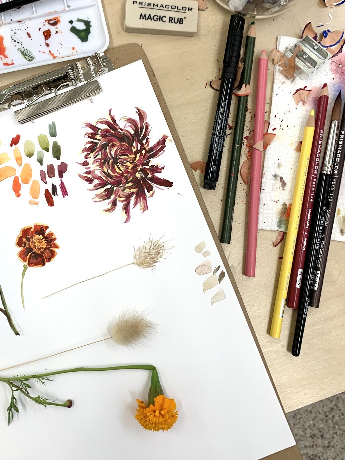 NOV 13th IN-PERSON - Fall Botanical Ink Sketching with Annie Brown