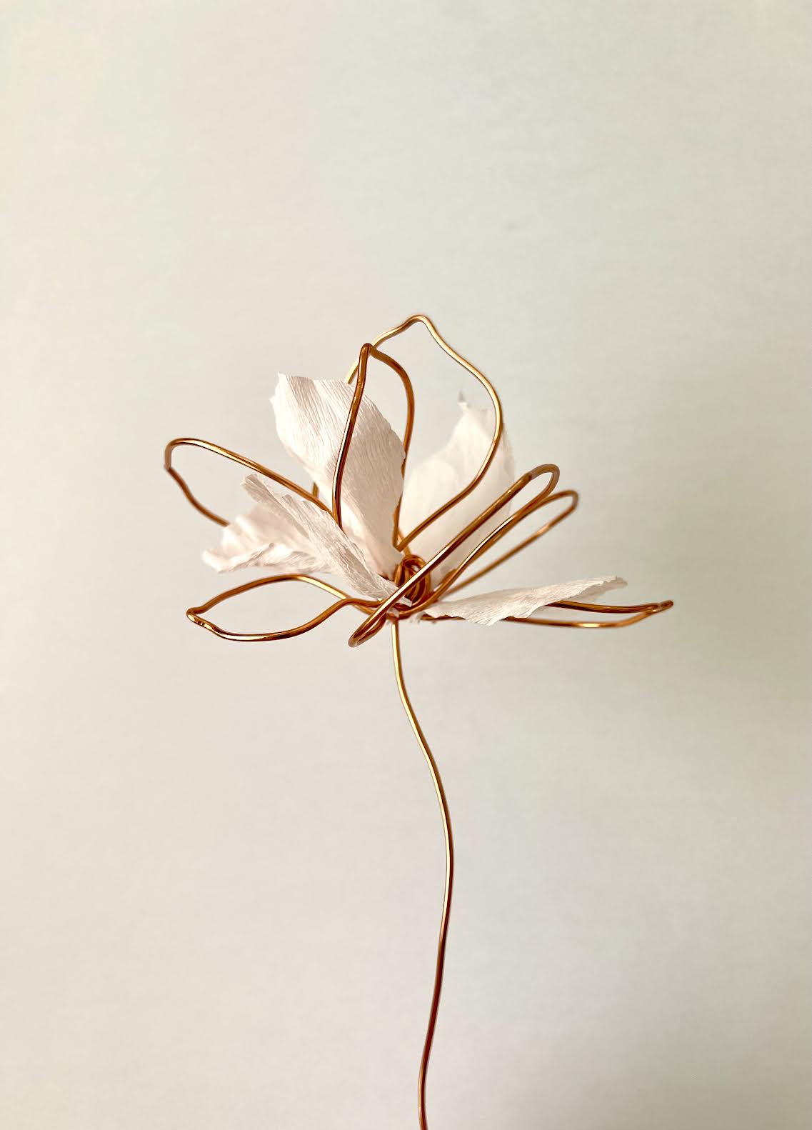 APR 23rd IN-PERSON - Sculptural Wire & Paper Flowers with Mirina Moloney