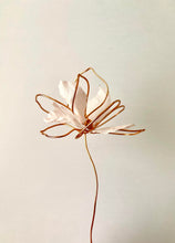 Load image into Gallery viewer, APR 23rd IN-PERSON - Sculptural Wire &amp; Paper Flowers with Mirina Moloney