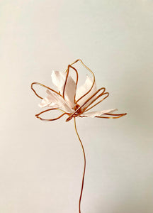 APR 23rd IN-PERSON - Sculptural Wire & Paper Flowers with Mirina Moloney