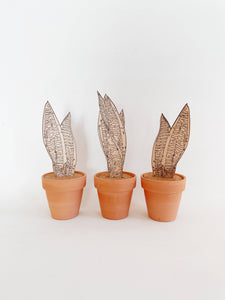 Paint Your Own: Snake Plant: Single Set