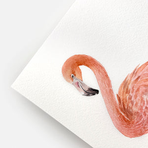 Flamingo By Annie Brown