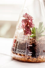 Load image into Gallery viewer, Chemistry Flask Build Your Own Terrarium Kit