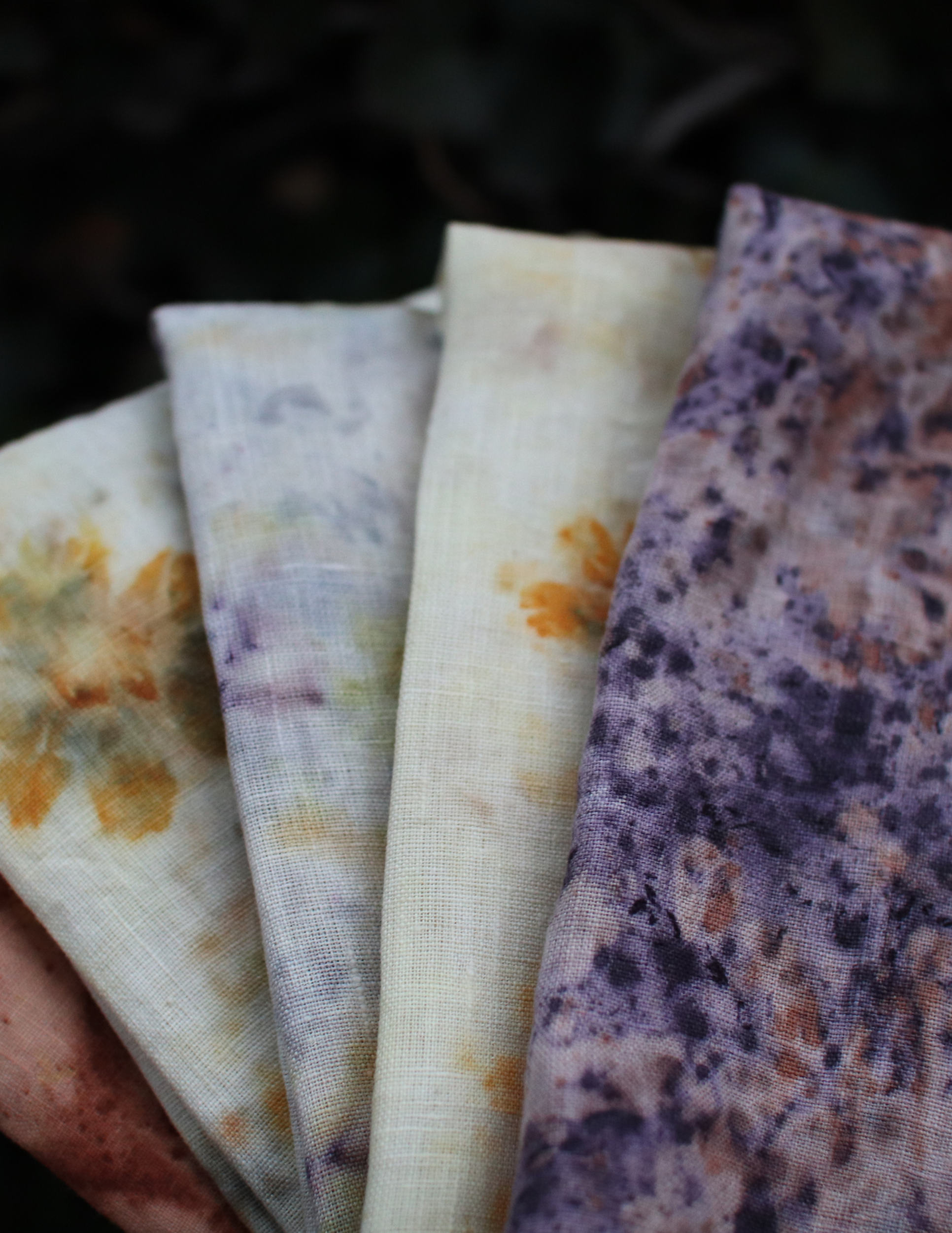 SEPT 12th - Botanical Bundle Dyeing