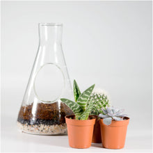 Load image into Gallery viewer, Chemistry Flask Build Your Own Terrarium Kit