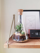 Load image into Gallery viewer, Chemistry Flask Build Your Own Terrarium Kit