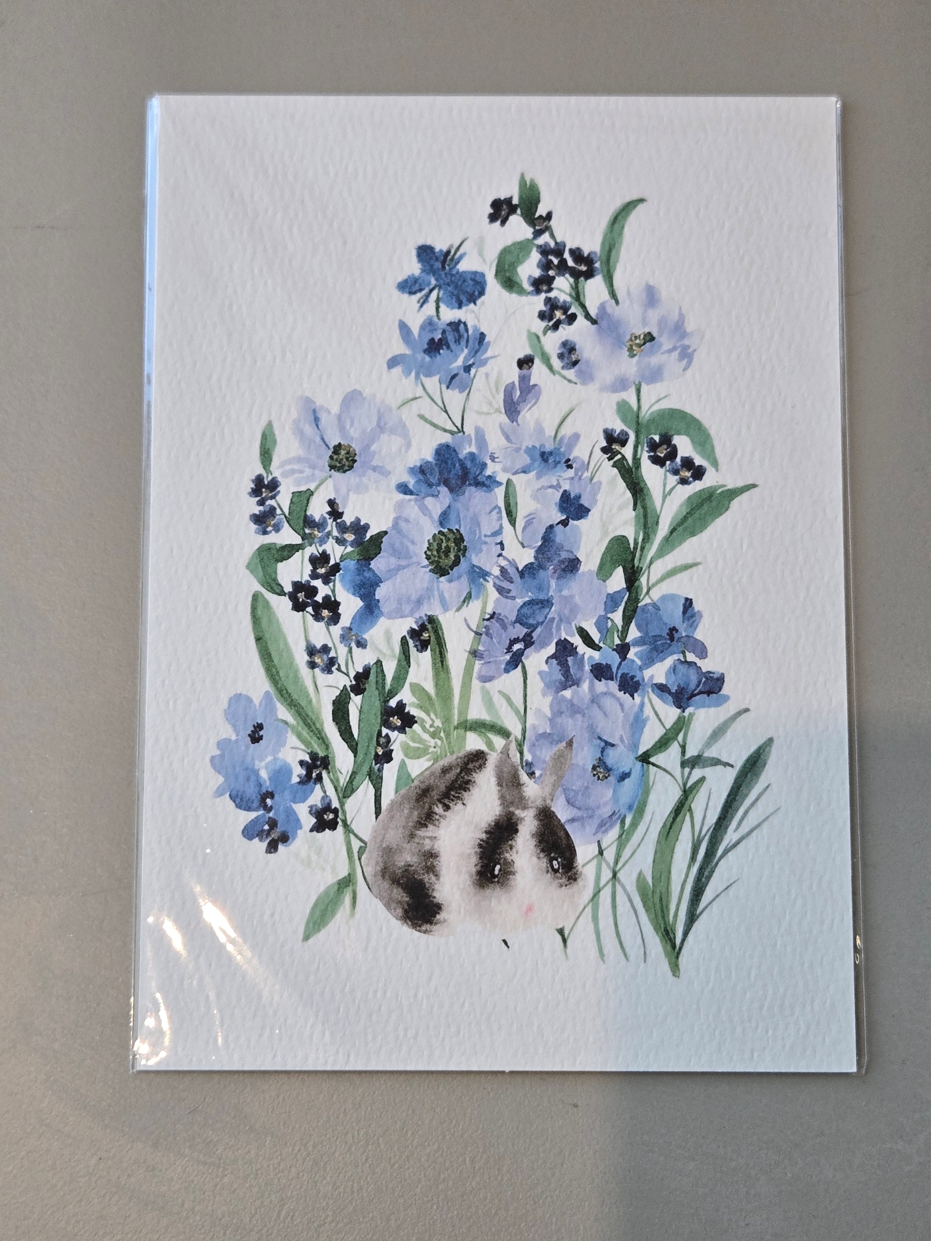 Katherine Lazo 5x7 Prints