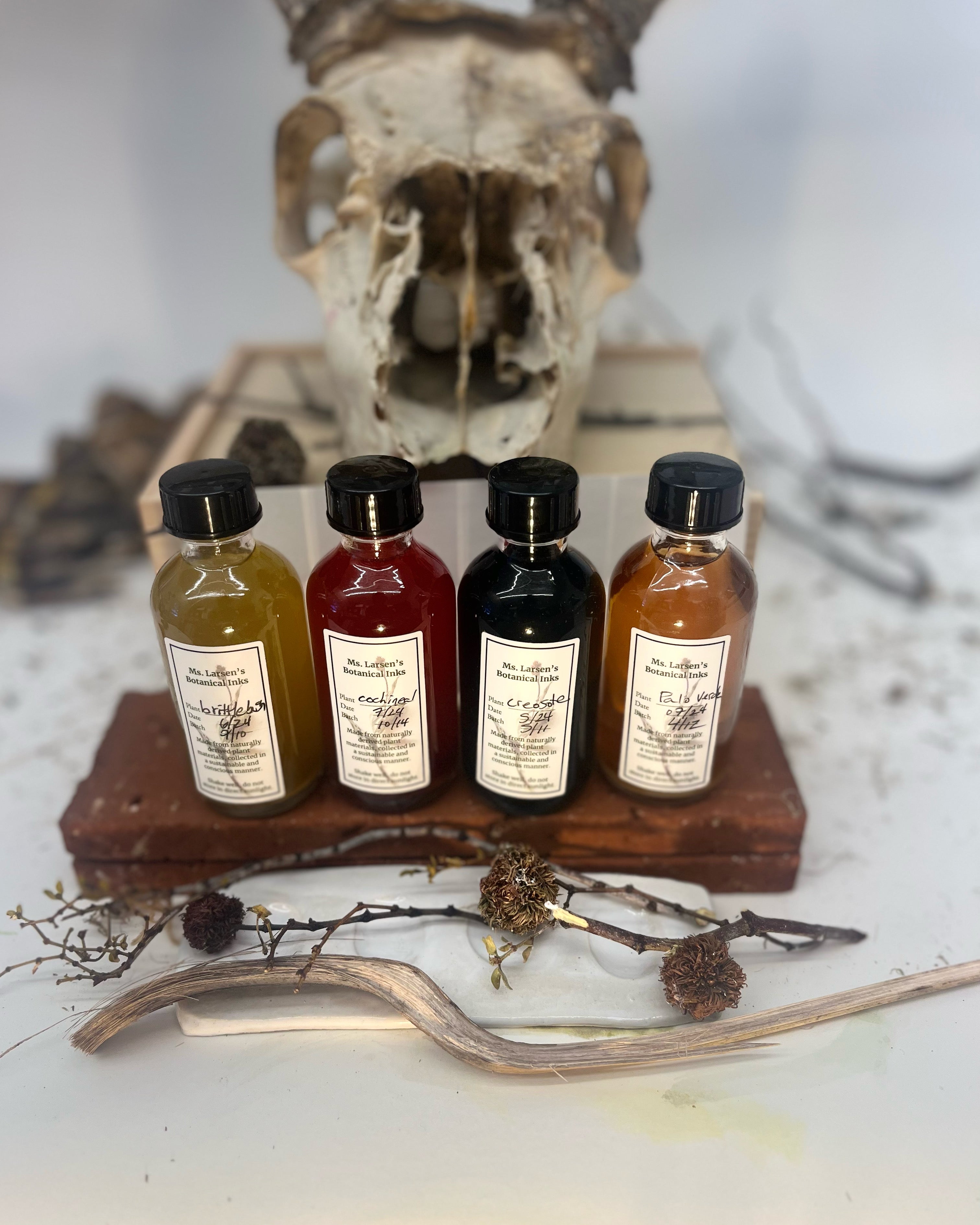 Ms. Larsen's Botanical Inks