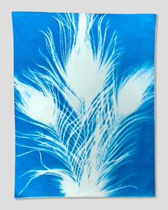 SEP 16th IN-PERSON - Sun Printing (Cyanotype) with Thunder Textile