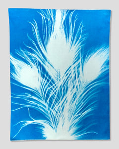 AUG 27th IN-PERSON - Sun Printing (Cyanotype) with Thunder Textile