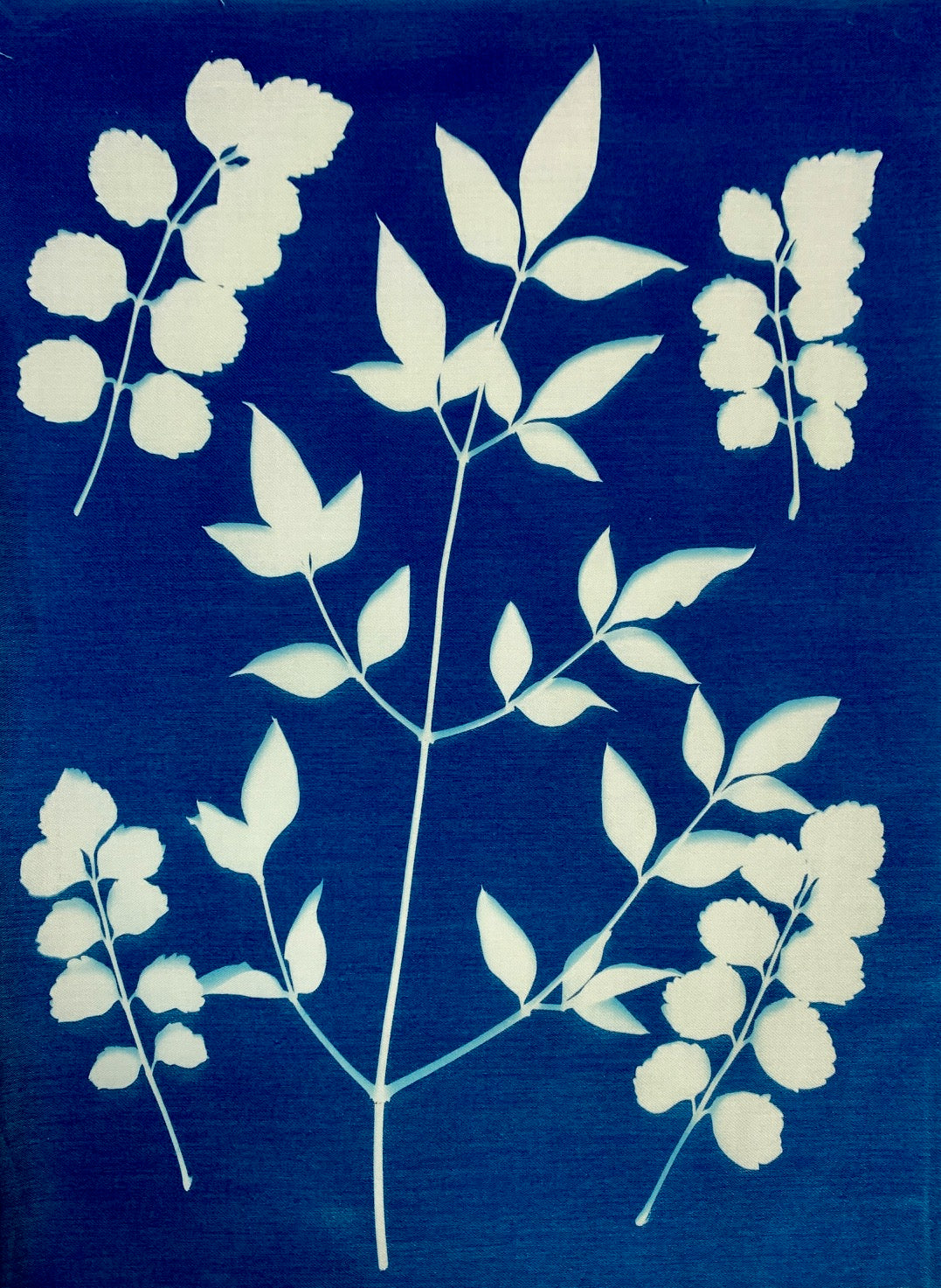 OCT 8th IN-PERSON - Sun Printing (Cyanotype) with Thunder Textile