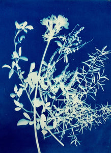 OCT 8th IN-PERSON - Sun Printing (Cyanotype) with Thunder Textile