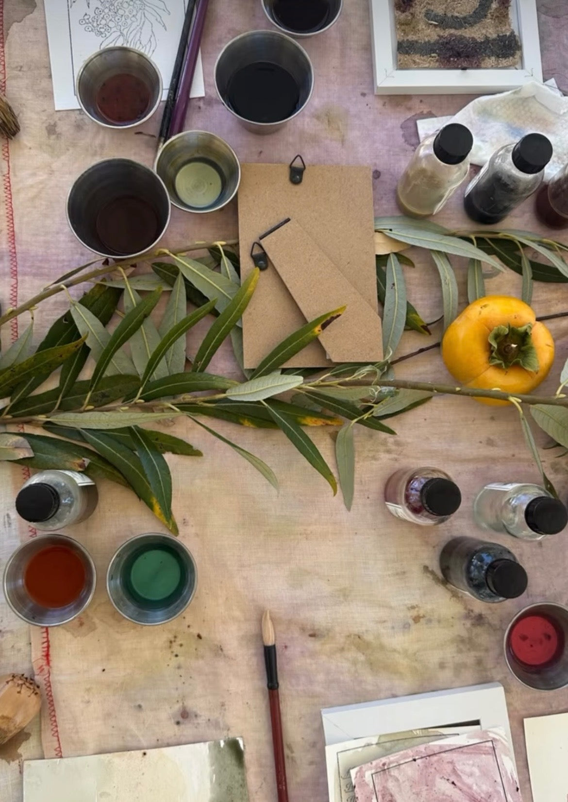 JUN 21st - INKS + DRINKS - Foraged Fruit Wines
