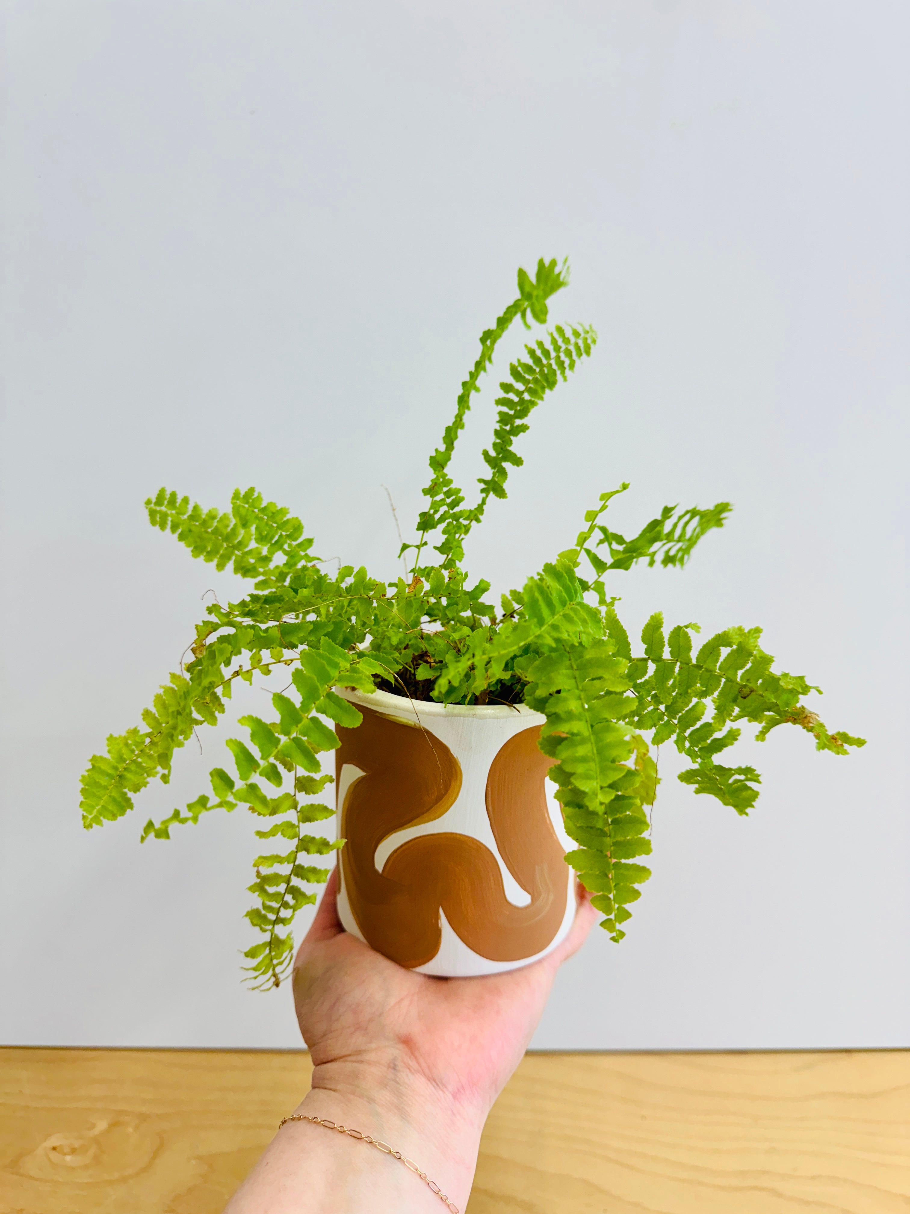 May 10th IN-PERSON - Painted Pots & Plants Workshop (CHOOSE TIME SLOT)