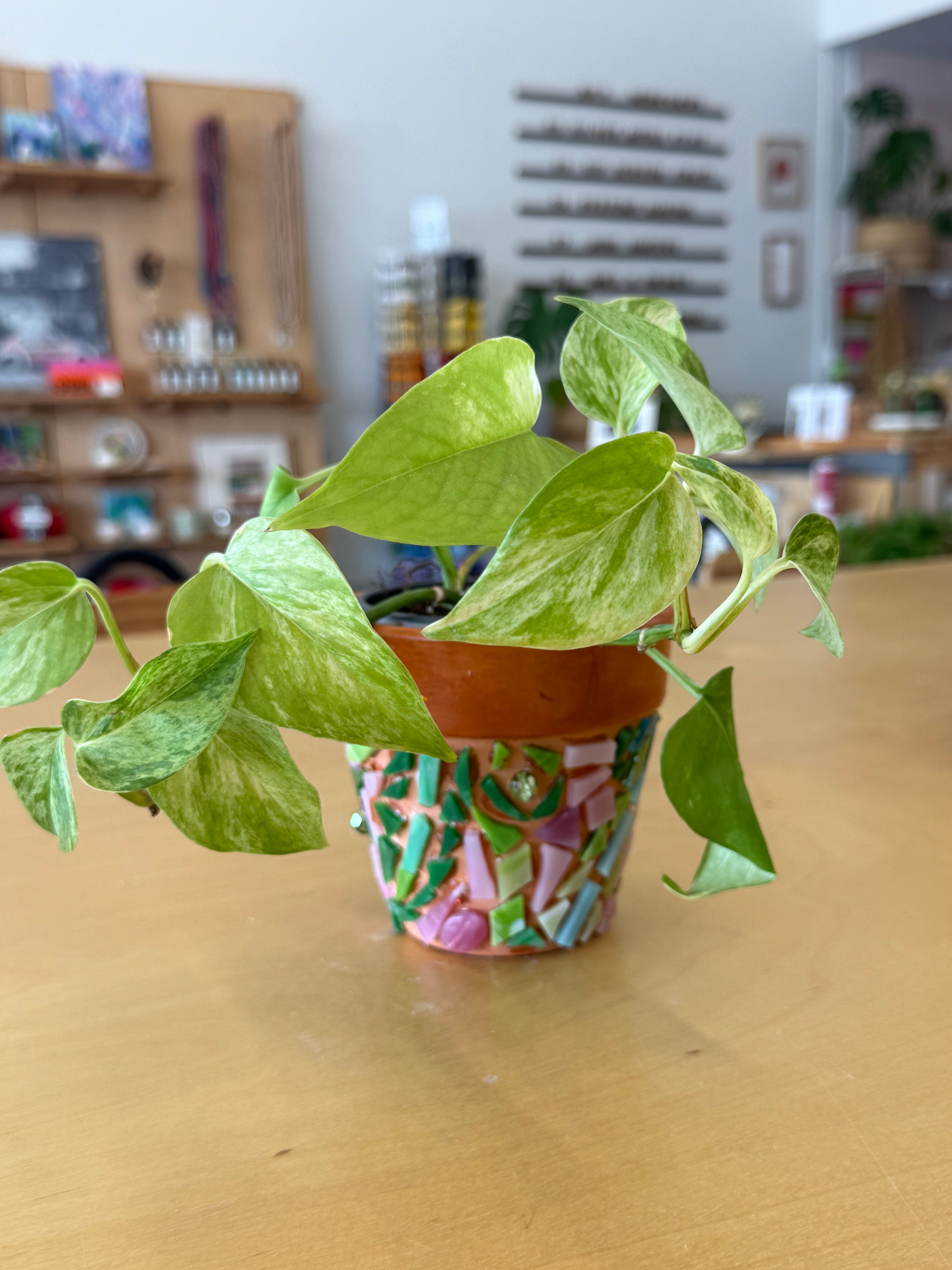 AUG 9th - Mosaic Pots