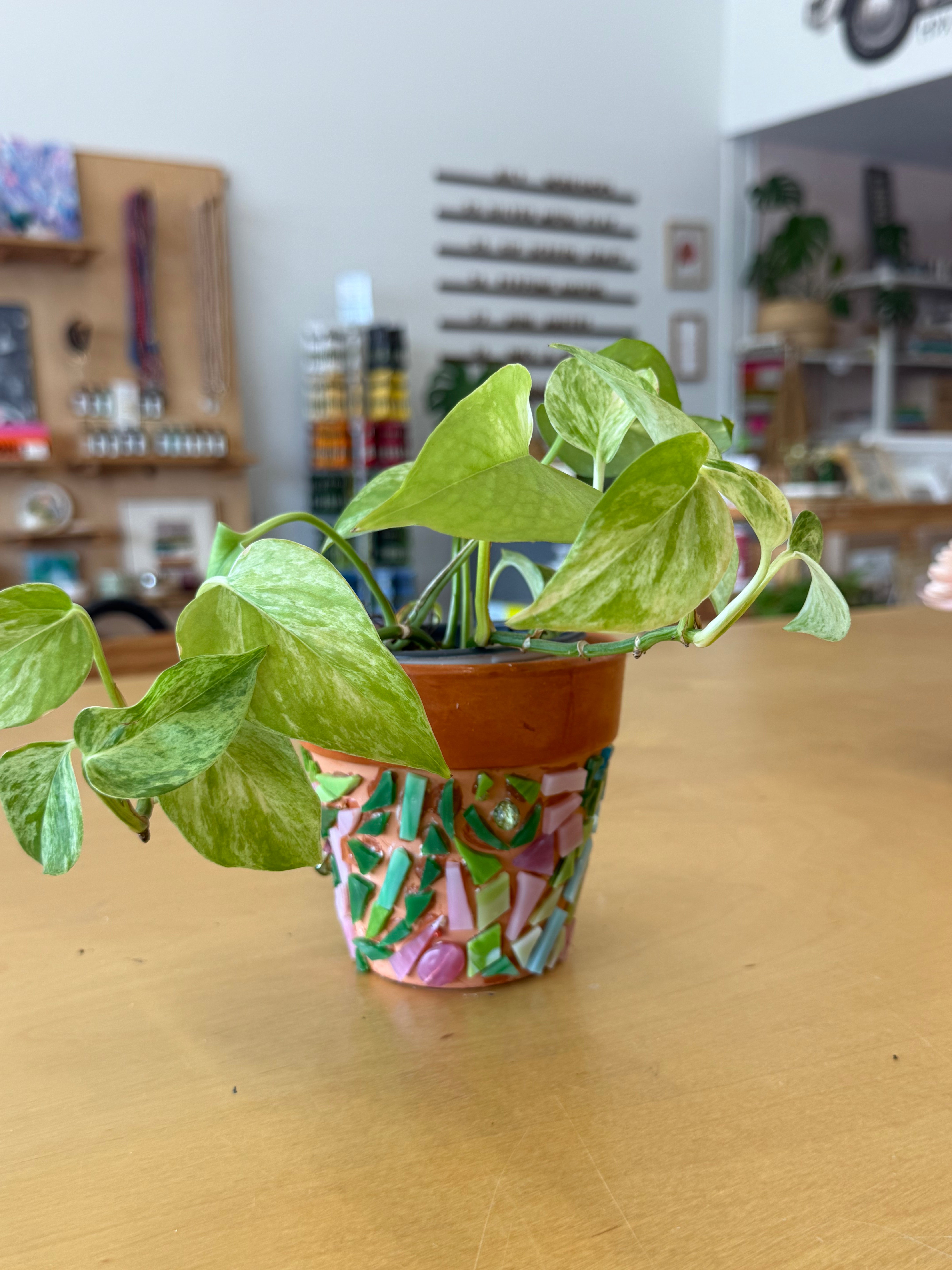 AUG 9th - Mosaic Pots