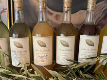 Load image into Gallery viewer, JUL 26th - INKS + DRINKS - Foraged Fruit Wines