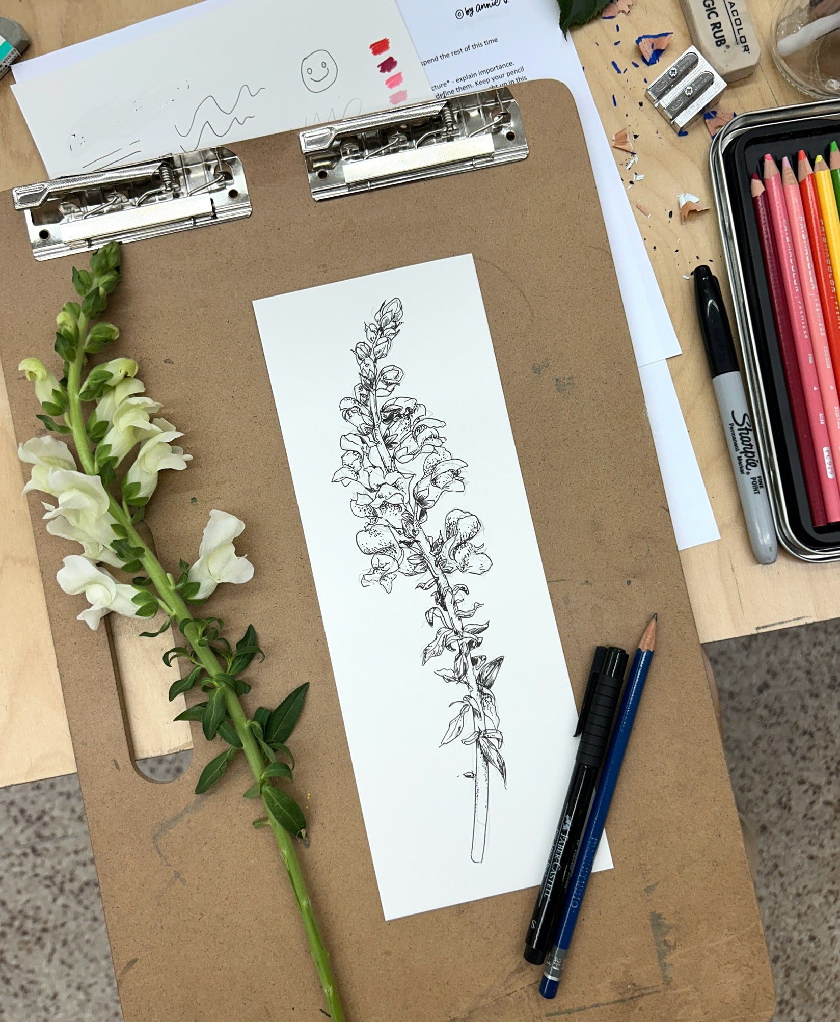 MAR 18th IN-PERSON - Inked Floral Drawings with Annie Brown