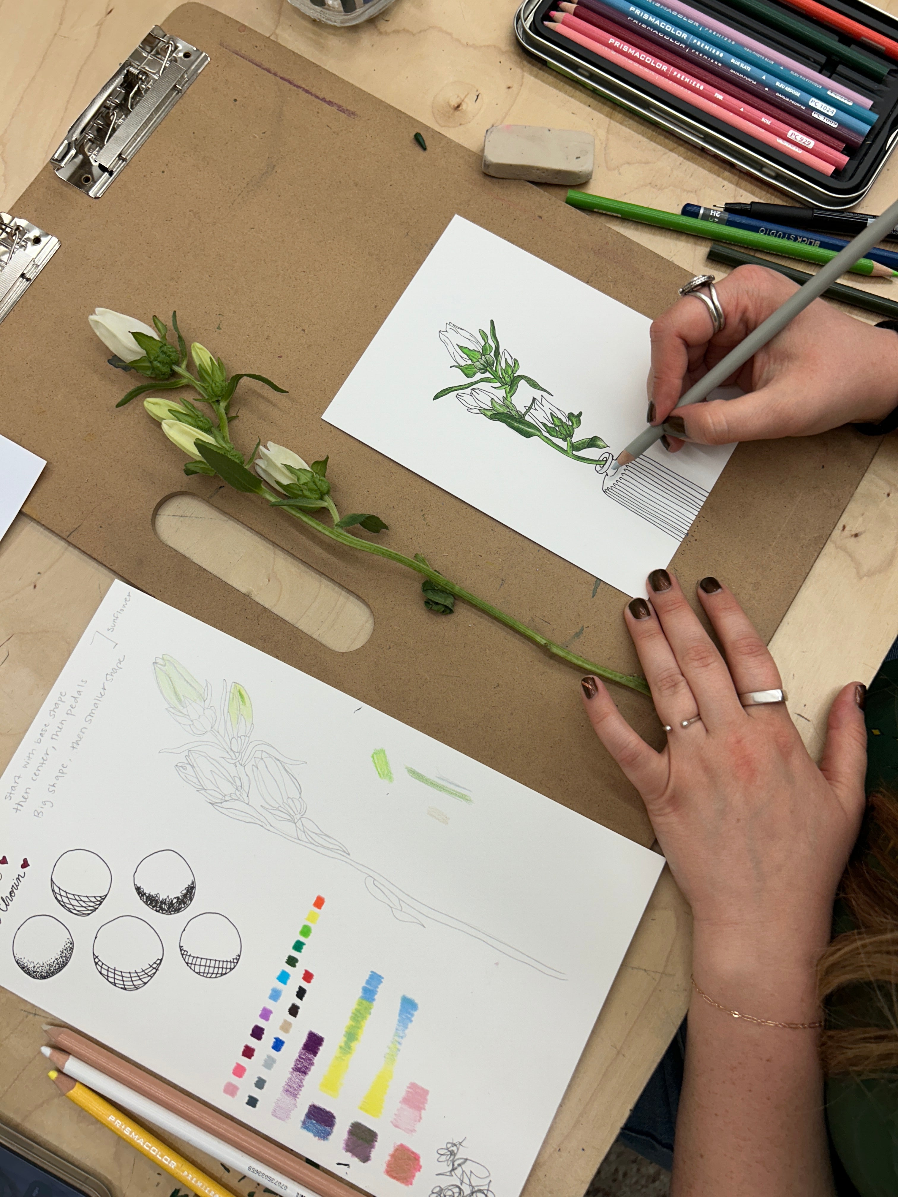 MAR 18th IN-PERSON - Inked Floral Drawings with Annie Brown