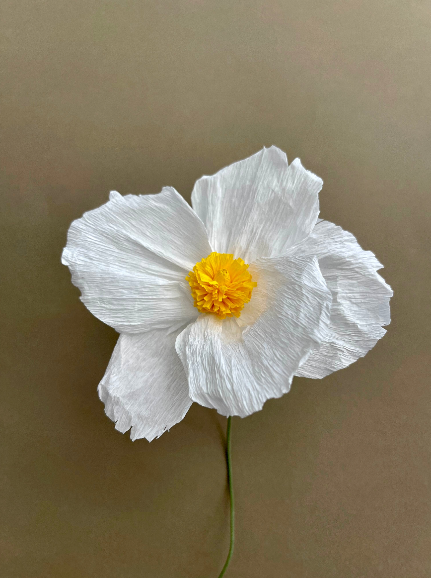 APR 28th IN-PERSON - Paper Poppies Class in Vase with Mirina Moloney