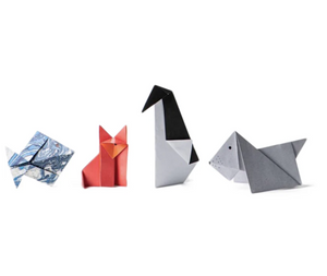 Paper Magic Origami Kit