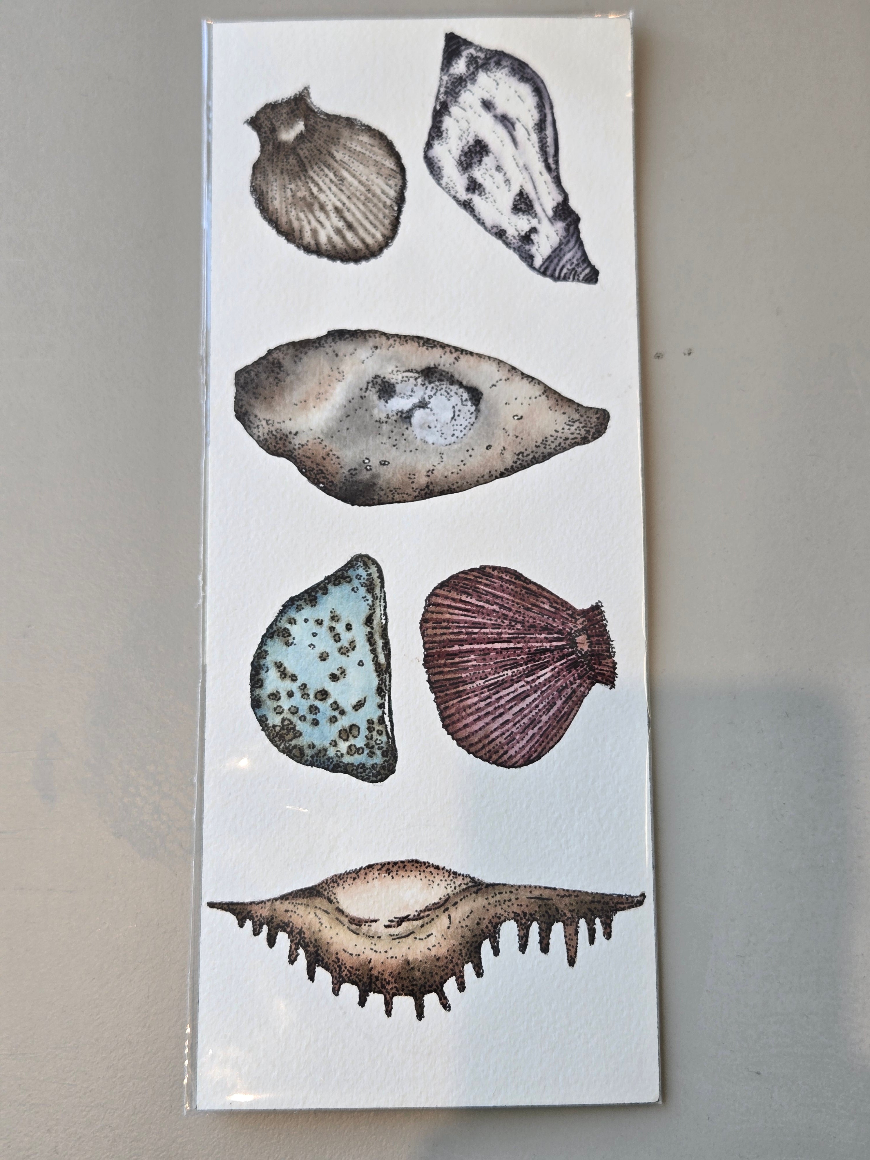 Watercolor Prints by Katherine Lazo