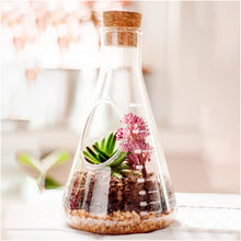 Load image into Gallery viewer, Chemistry Flask Build Your Own Terrarium Kit