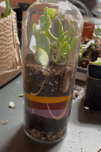 AUG 23rd IN - PERSON - Sand Art Terrariums - These Hands Makers Collective
