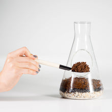 Load image into Gallery viewer, Chemistry Flask Build Your Own Terrarium Kit