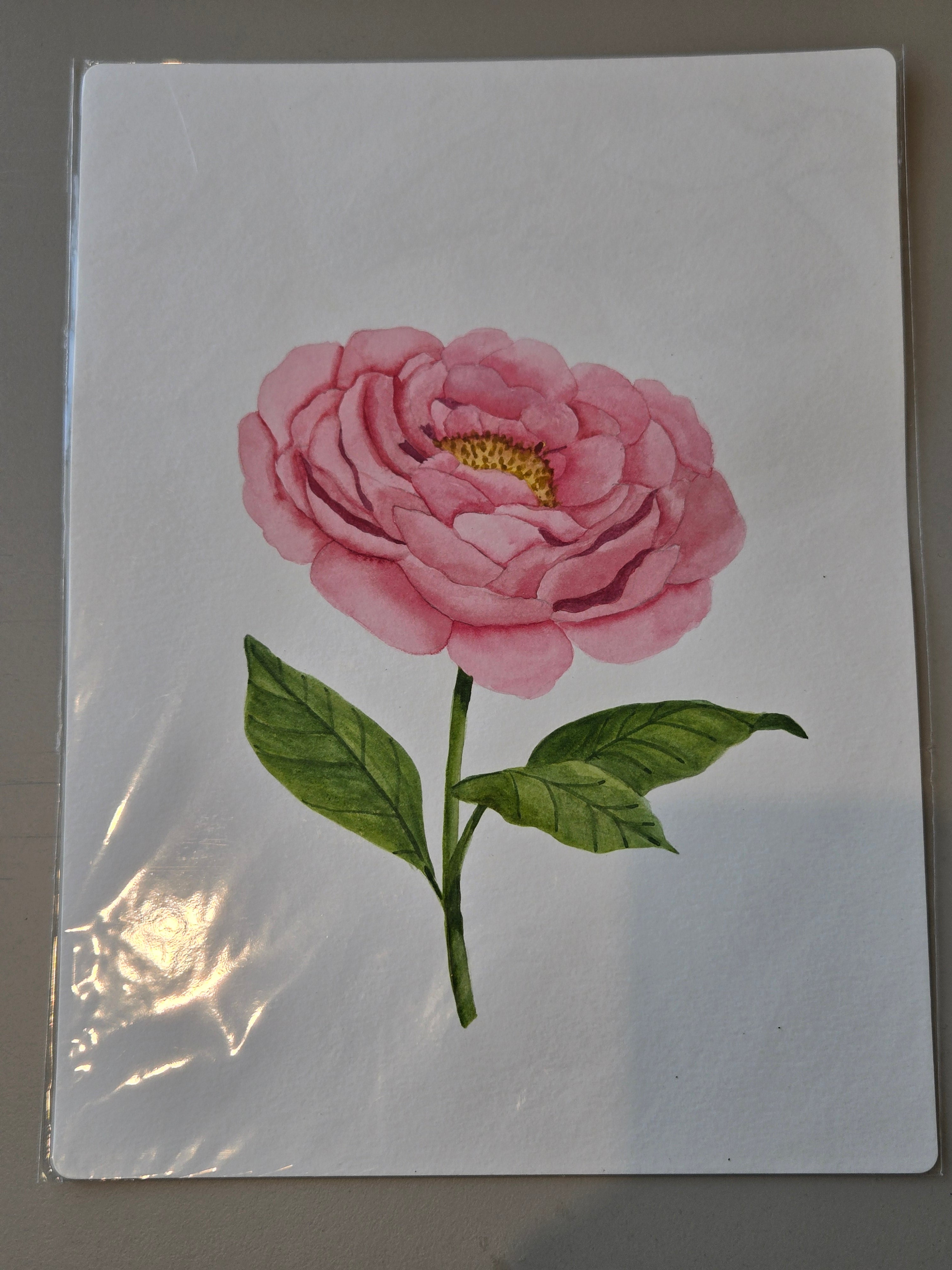 Watercolor Prints (8