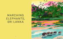 Load image into Gallery viewer, Paint by Numbers: Art Escapes