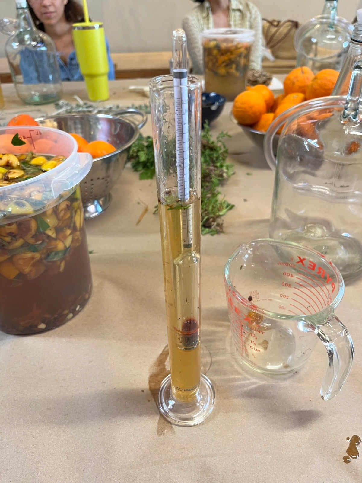 OCT 4th - Foraged Fruit Wine: A Natural Wine Making Class