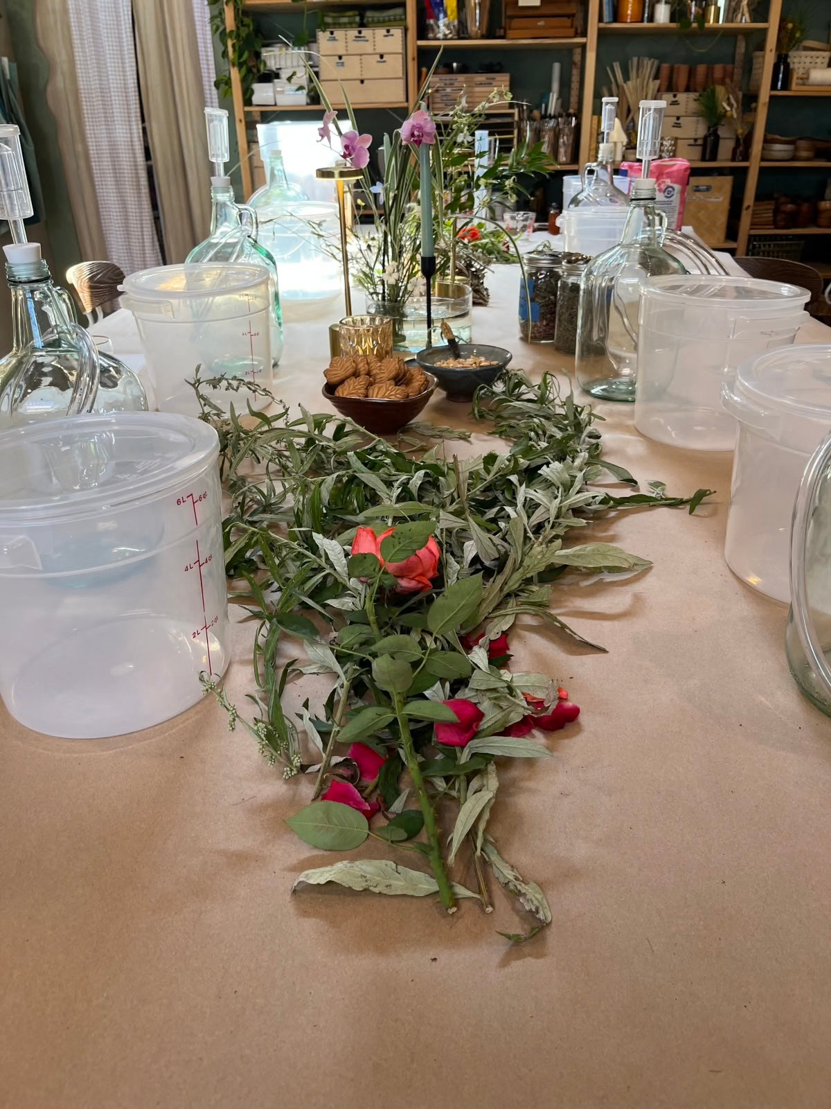 OCT 4th - Foraged Fruit Wine: A Natural Wine Making Class
