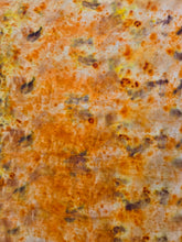 Load image into Gallery viewer, SEPT 12th - Botanical Bundle Dyeing