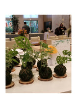 Load image into Gallery viewer, SEPT 25th - The Art of Kokedama