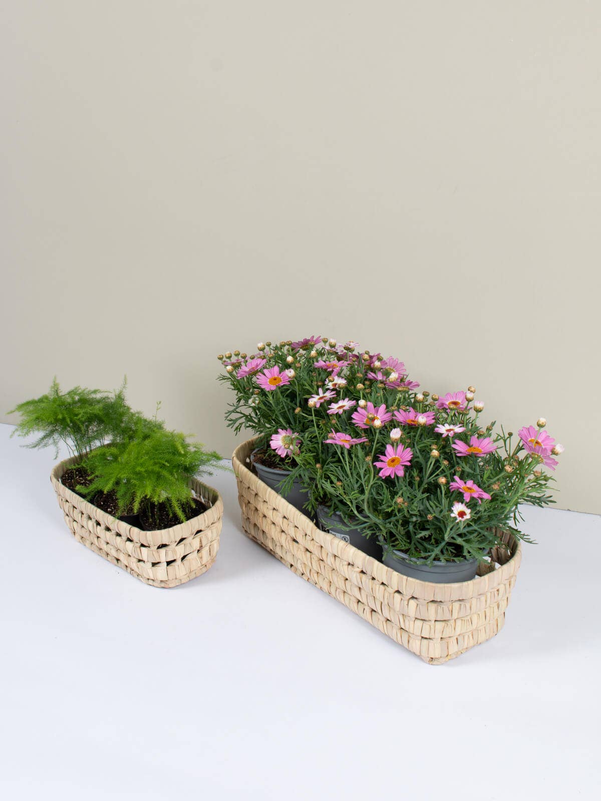 Long Open Weave Storage Trays: Medium - These Hands Makers Collective