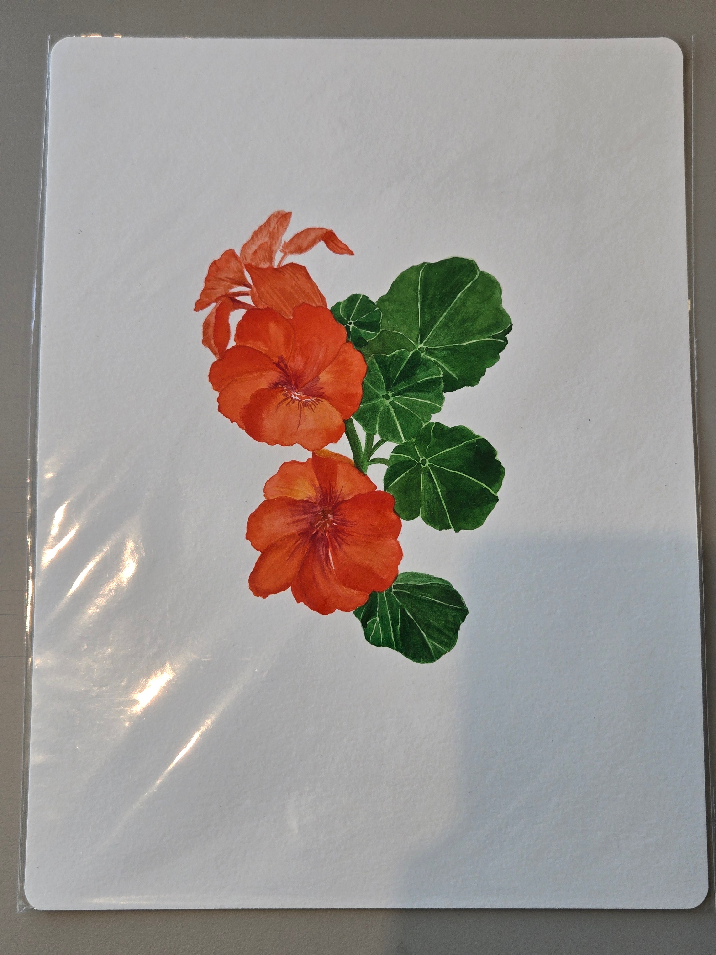 Watercolor Prints (8