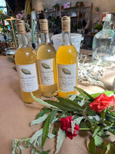 Load image into Gallery viewer, OCT 4th - Foraged Fruit Wine: A Natural Wine Making Class - These Hands Makers Collective