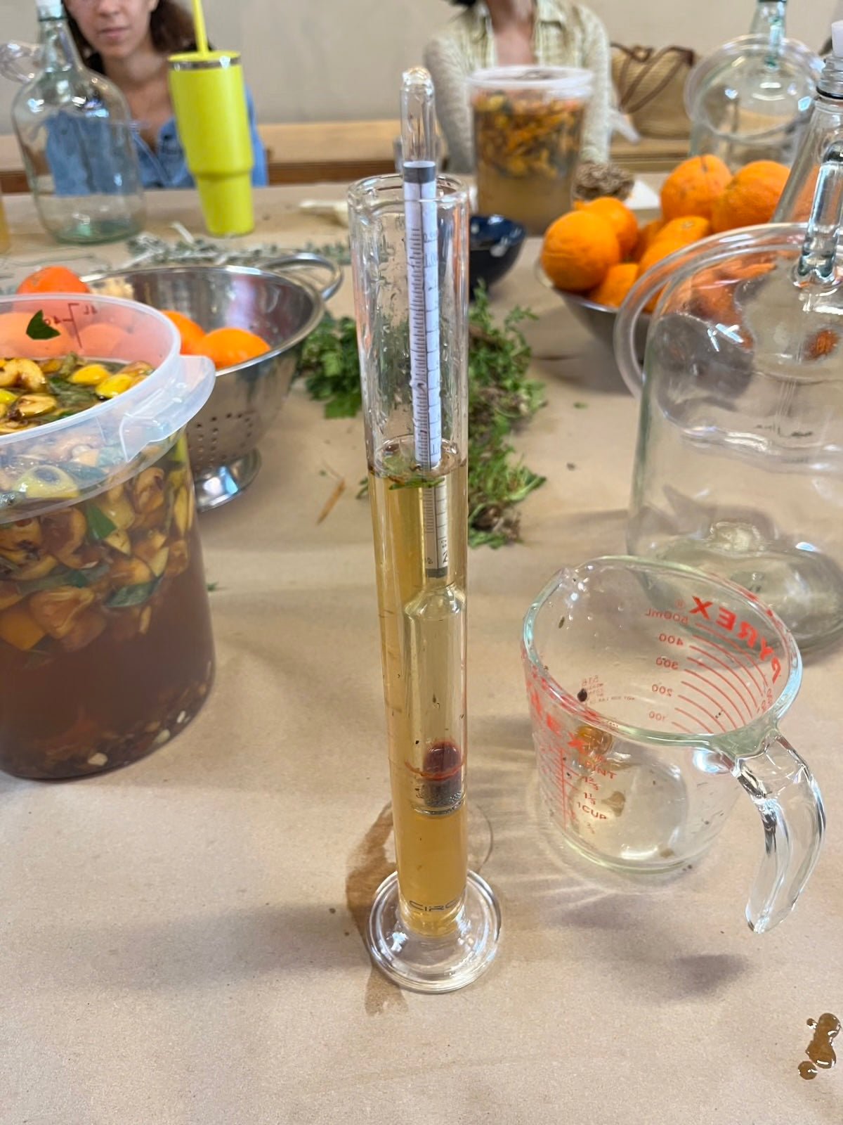 OCT 4th - Foraged Fruit Wine: A Natural Wine Making Class - These Hands Makers Collective