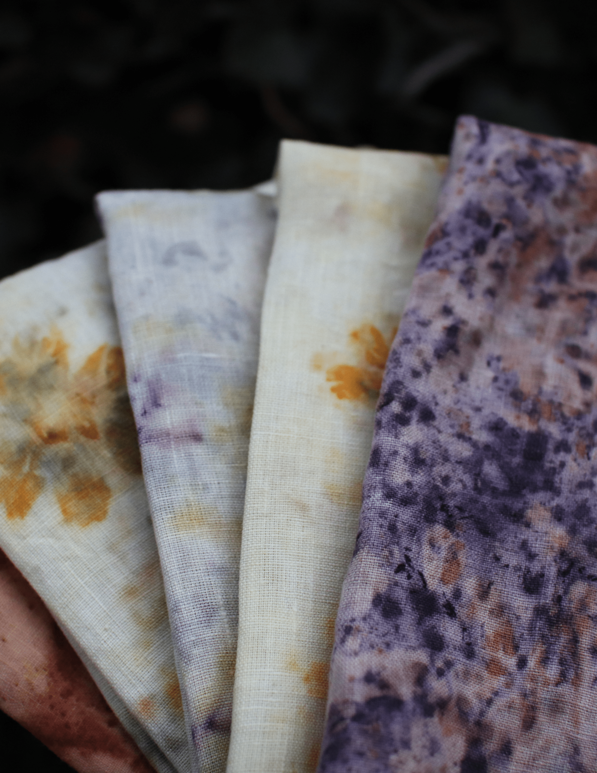 SEPT 12th - Botanical Bundle Dyeing - These Hands Makers Collective