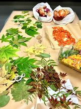 Load image into Gallery viewer, NOV 4th IN-PERSON - Eco Printing &amp; Botanical Bundle Dyeing with Thunder Textile