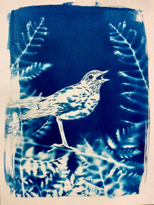 "Nightingale" Print by Mirina Moloney