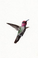 Load image into Gallery viewer, Watercolor Prints by Annie Brown - These Hands Makers Collective