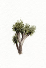 Load image into Gallery viewer, Watercolor Prints by Annie Brown - These Hands Makers Collective